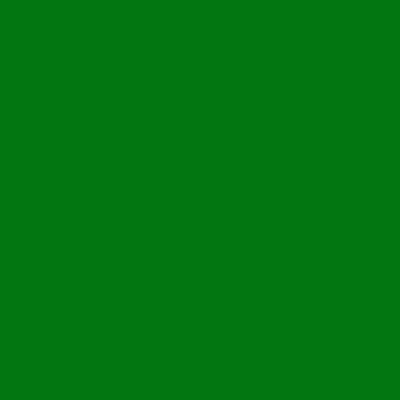 coton lycra vert kelly 1 mètre